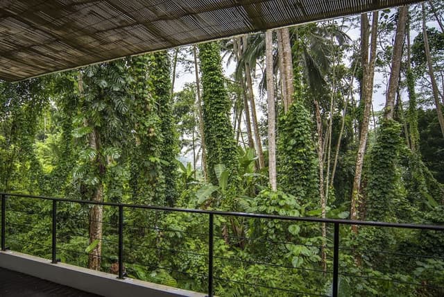The Nature Suite