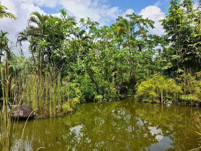The Nature Suite