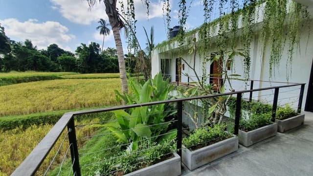 Deluxe Terrace Room