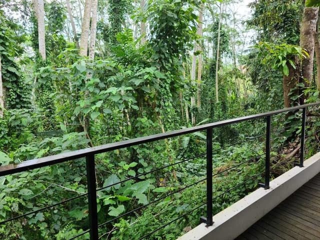 The Nature Suite