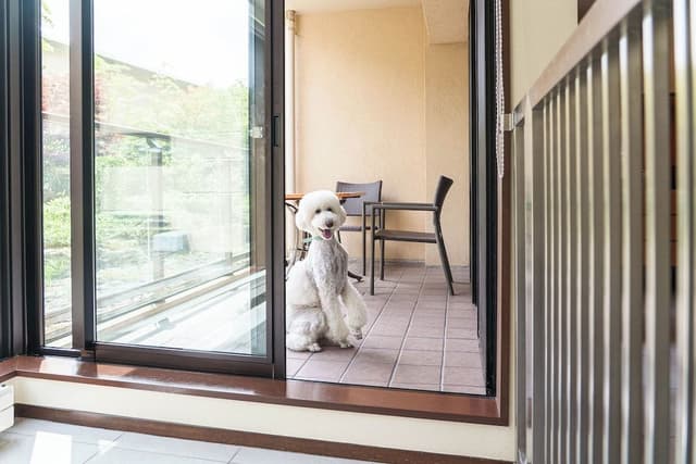 Deluxe Room, 2 Twin Beds (Dog Friendly)