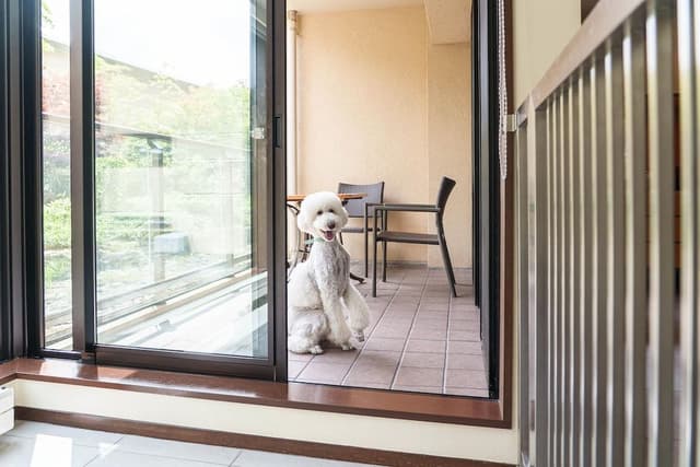 Deluxe Room, 2 Twin Beds (Dog Friendly)