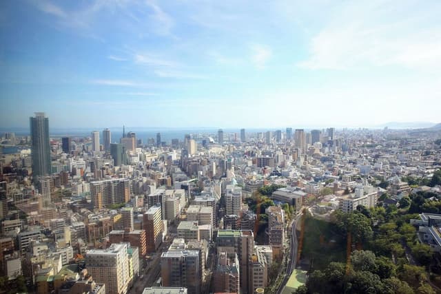 Premium Room, 2 Twin Beds, City View