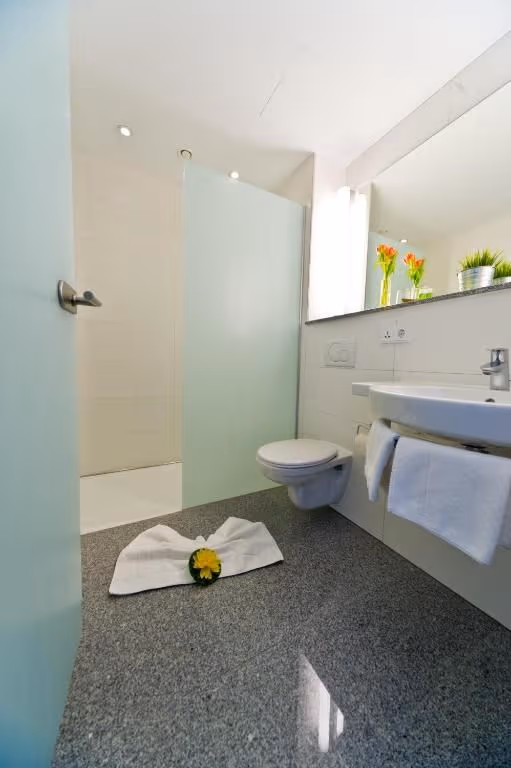 Single Room Superior (non-smoking)