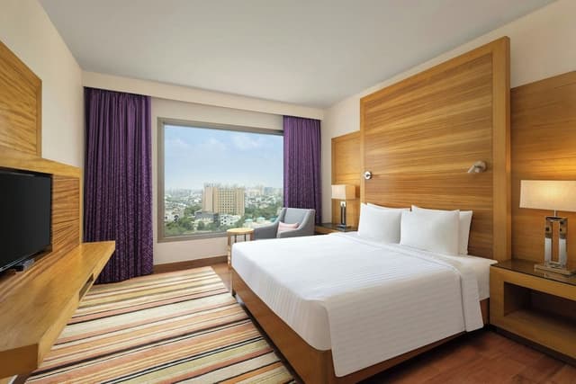 Club Suite, 1 Bedroom