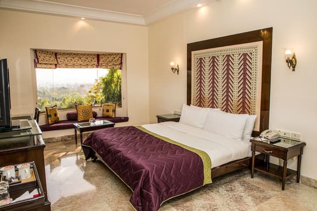 Room, 1 King Bed, Valley View