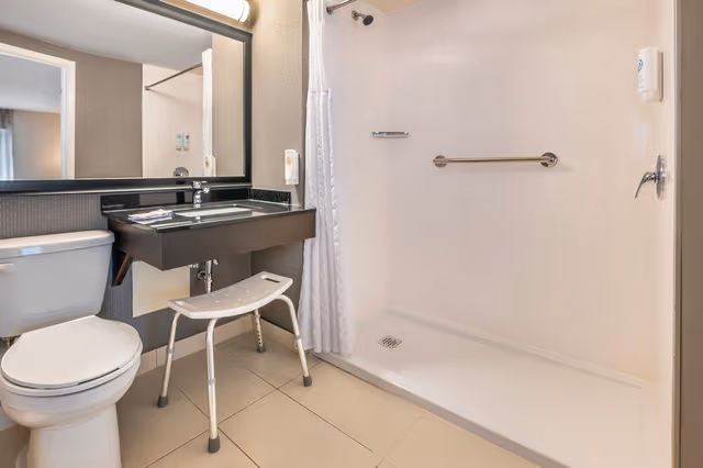 Room, 1 King Bed with Sofa bed, Accessible, Non Smoking