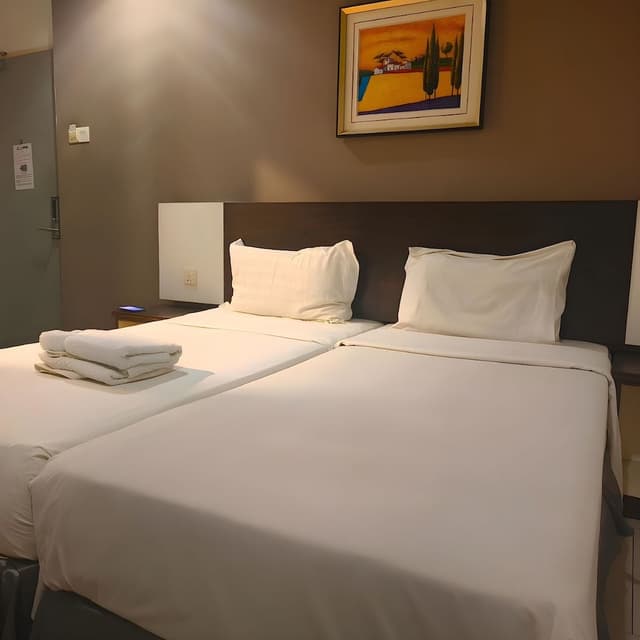 Deluxe Twin Room (Without Window)