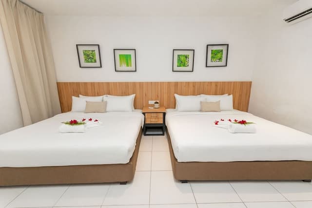 Family Suite