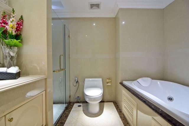 Superior Room, Jetted Tub, City View