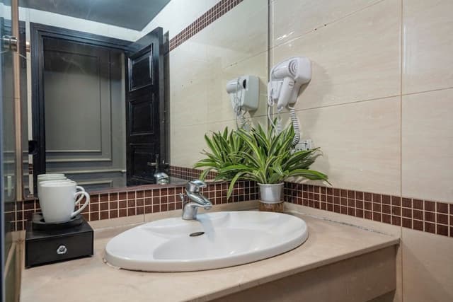 Basic Double Room