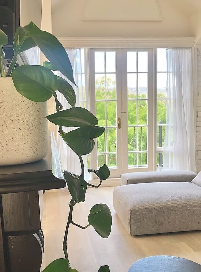 Grand Suite