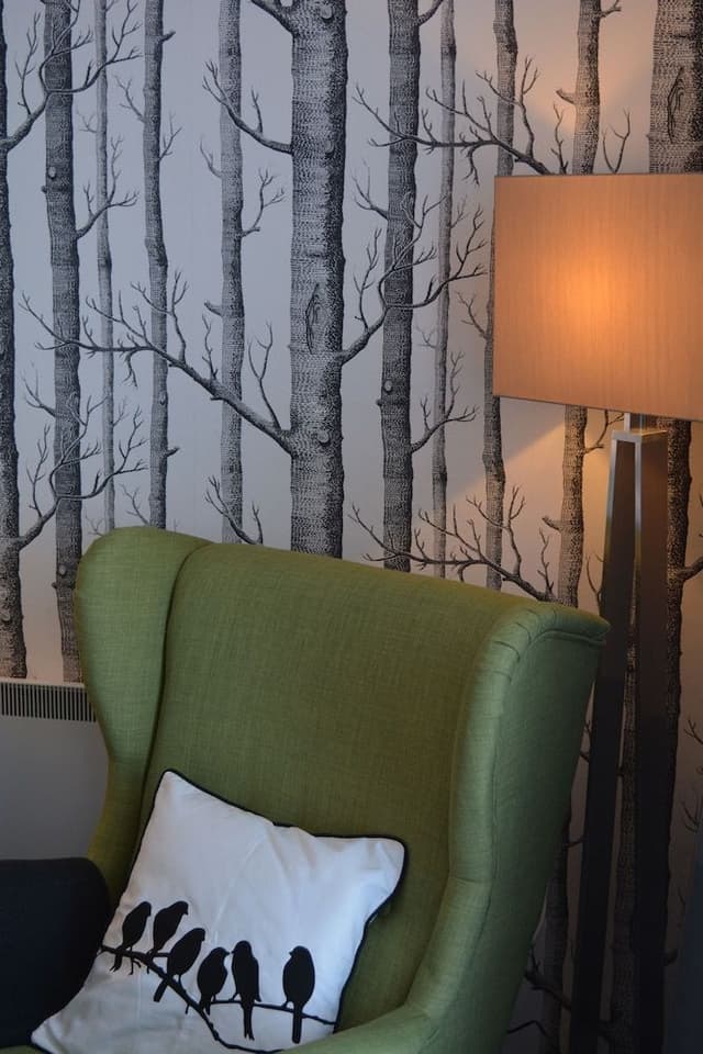 Deluxe Studio, 1 King Bed, River View