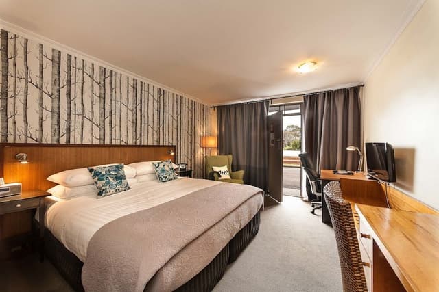 Deluxe Studio, 1 King Bed, River View