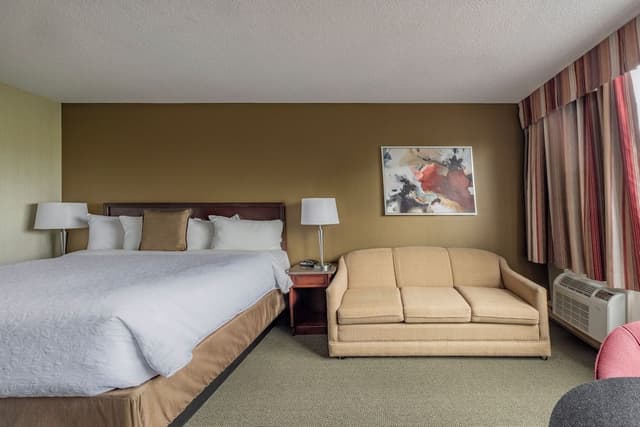Standard Room, 1 Queen Bed with Sofa bed