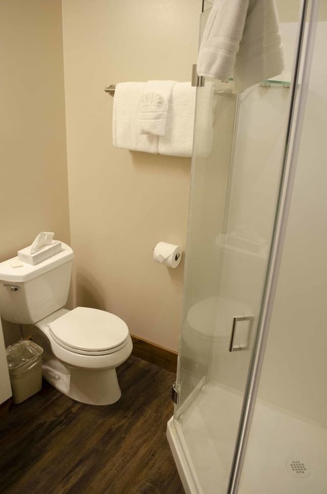 Classic Studio, 1 Queen Bed