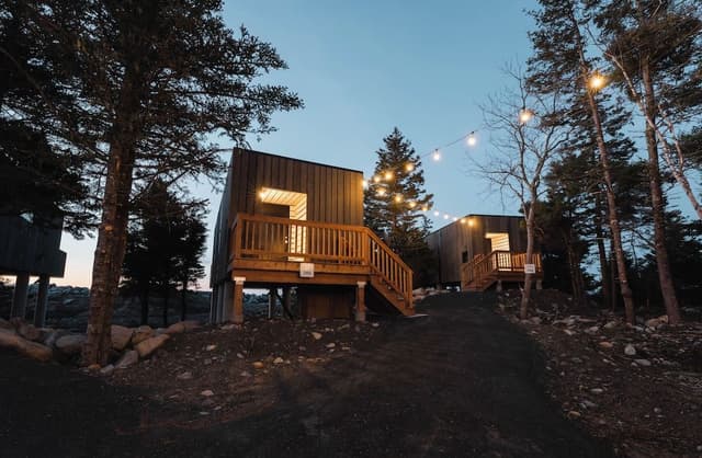 Luxury Tree House