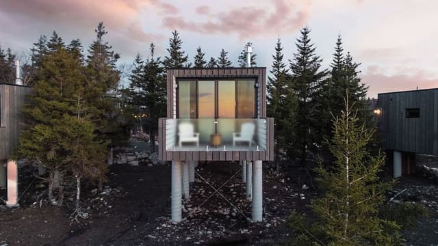Luxury Tree House