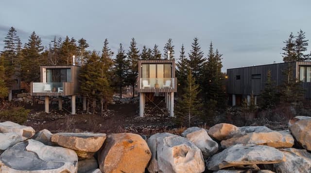 Luxury Tree House