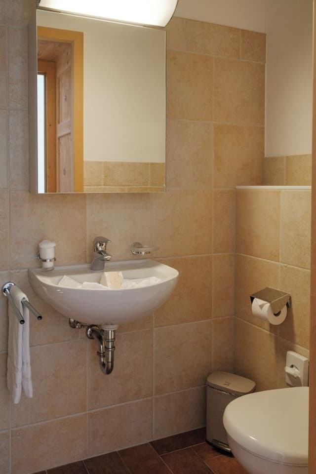 Superior Single Room, Mountain View