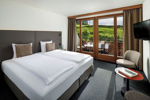 Superior Double Room, Mountain View