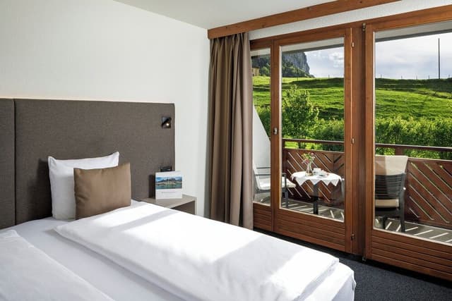 Superior Double Room, Mountain View