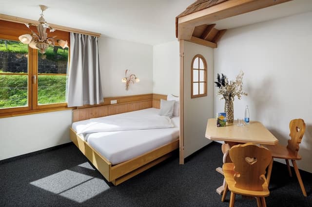 Single Room, Mountain View