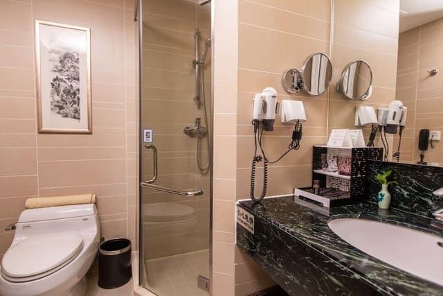 Business Twin Room