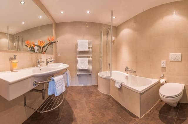 Double Room with Panoramic Matterhorn View
