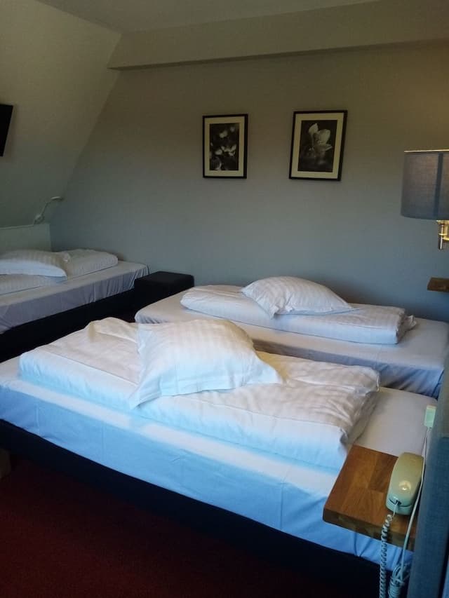 Triple Room, 3 Twin Beds, Non Smoking
