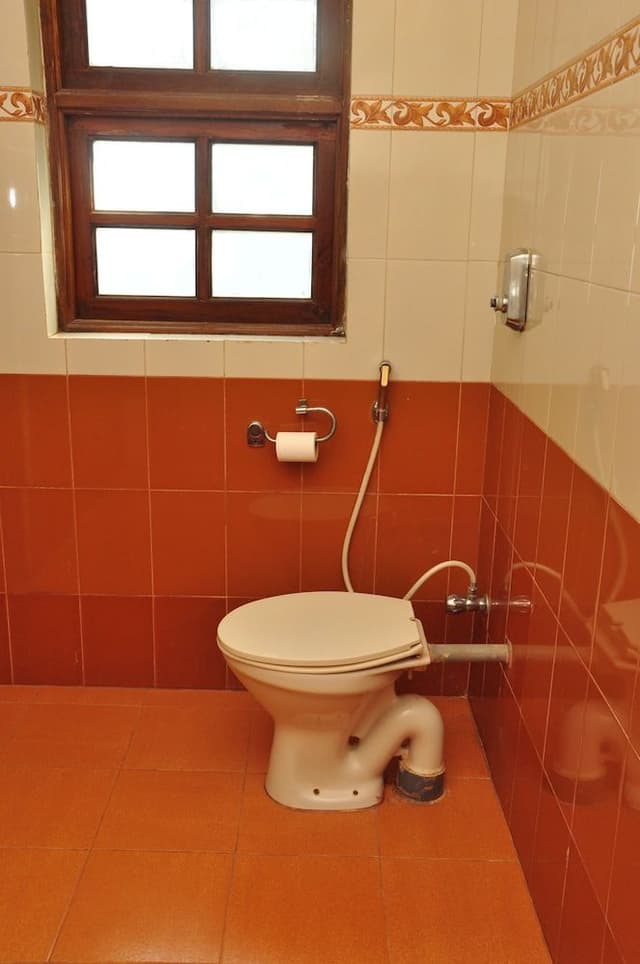 Deluxe Room, 1 Double Bed