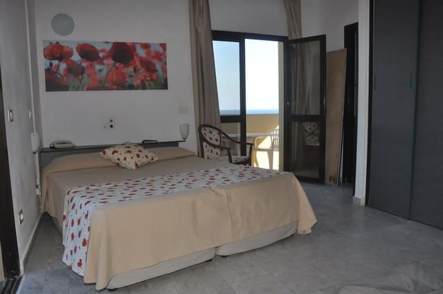 Basic Double Room