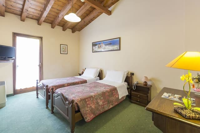 Classic Twin Room
