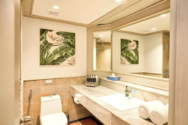 Superior Room, Pool Access
