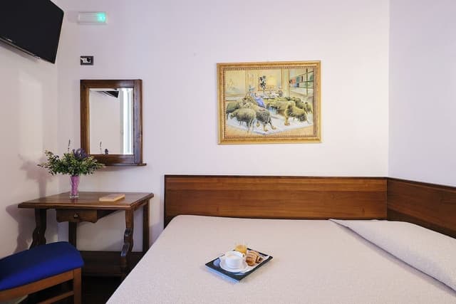 Classic Single Room