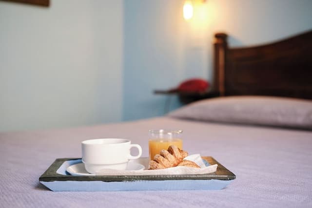Classic Double or Twin Room