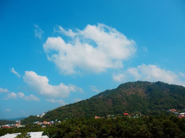Deluxe Mountain View