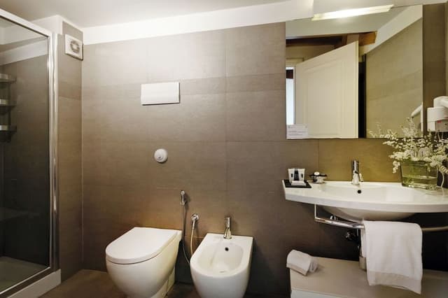 Luxury Suite