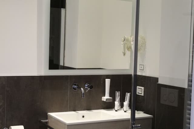 Deluxe Double or Twin Room, Lake View
