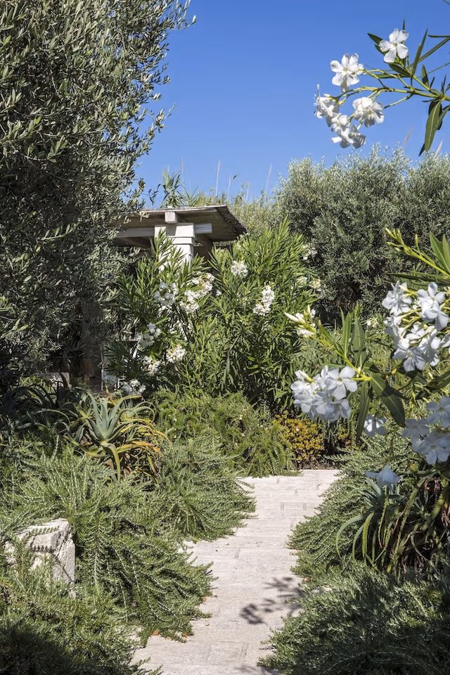 Casa, garden area (Casa Bella)