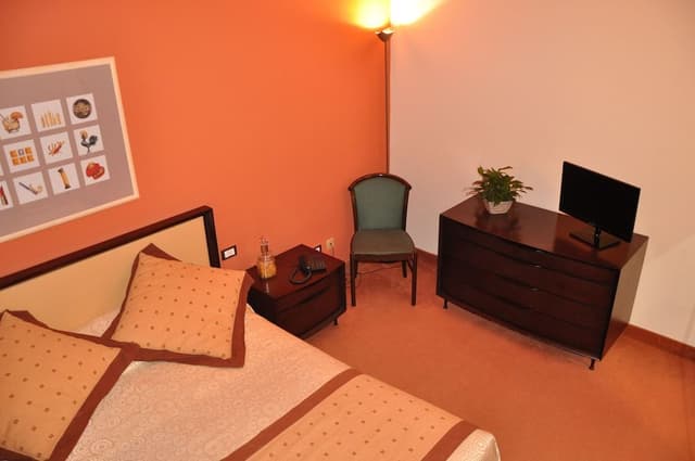 Double Room, 1 Double Bed