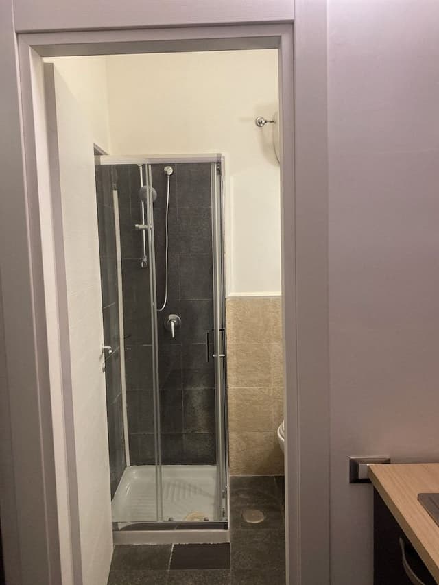 Standard Double Room Single Use (Internal view)