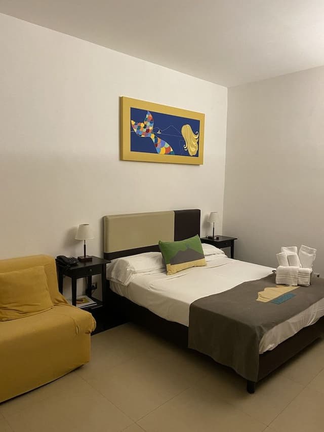 Standard Double Room Single Use (Internal view)