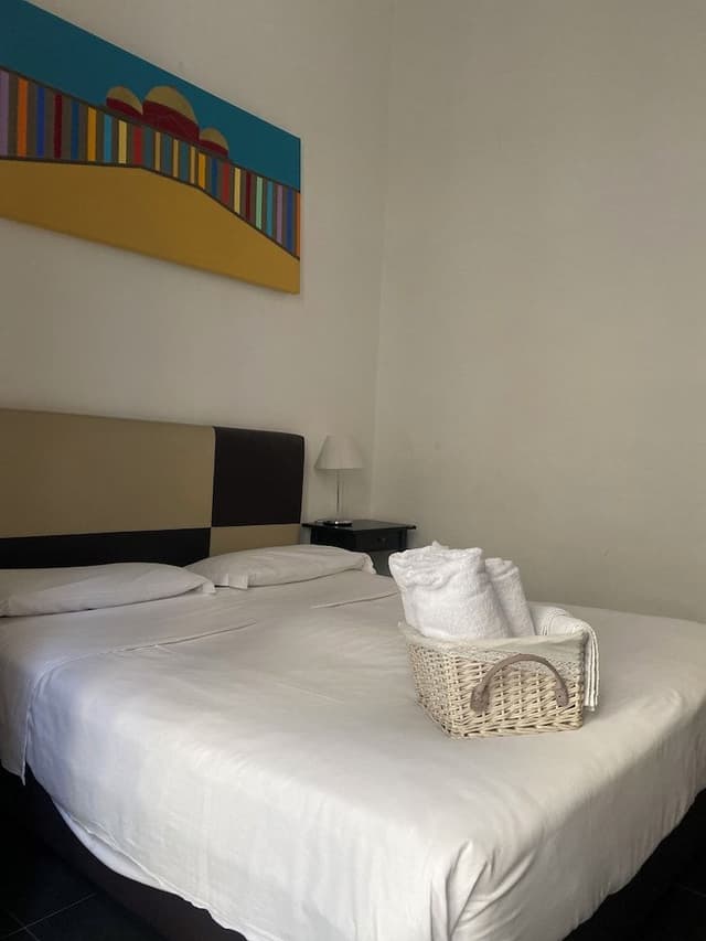 Standard Double Room Single Use (Internal view)