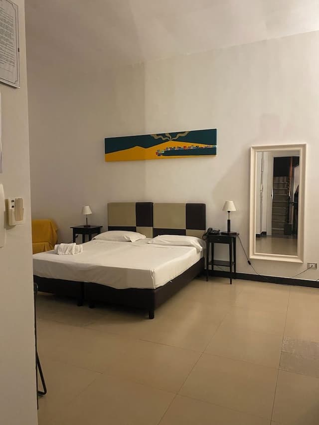 Standard Double Room Single Use (Internal view)