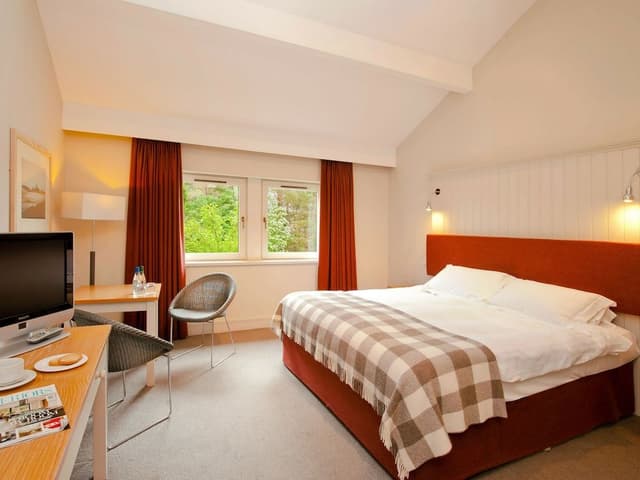 Classic Double Room (Pet friendly)
