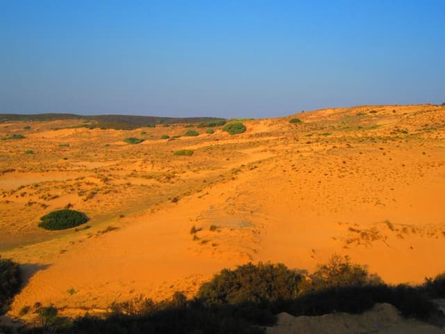 Standard Double Room, Balcony (Dune)