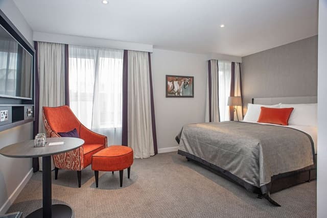 Superior Room, 1 King Bed, Non Smoking