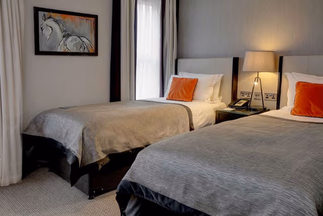 Superior Room, 2 Twin Beds, Non Smoking