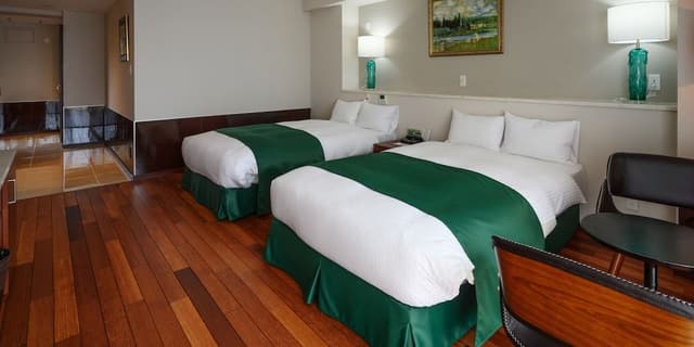 Superior Room, Non Smoking (Green) (Up to 2 People)